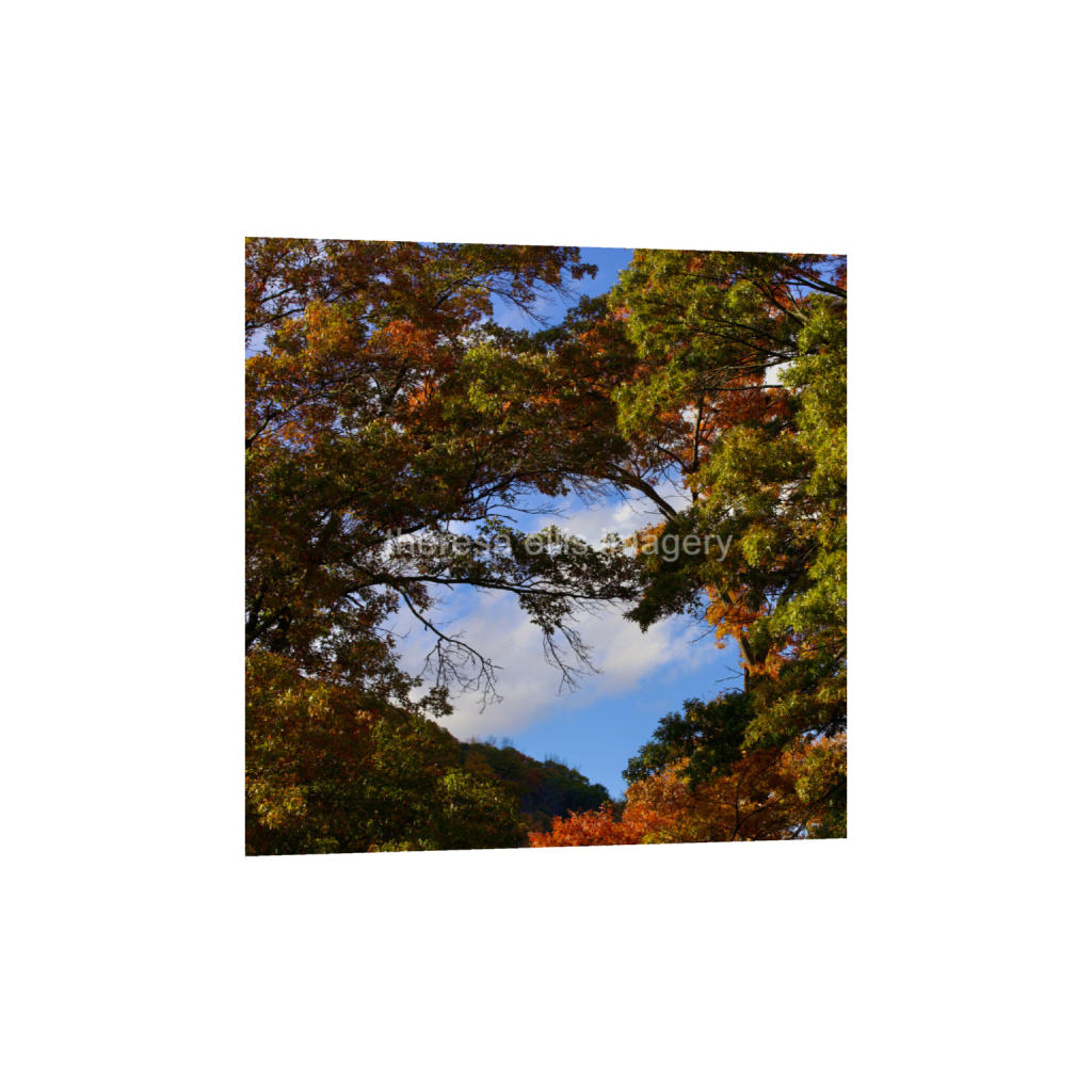 ptq_1_0_0_1120_4480_4480_0_false_ffffff_0_0_5c8a65ded2a0bd5ee7c2169a49639388.png