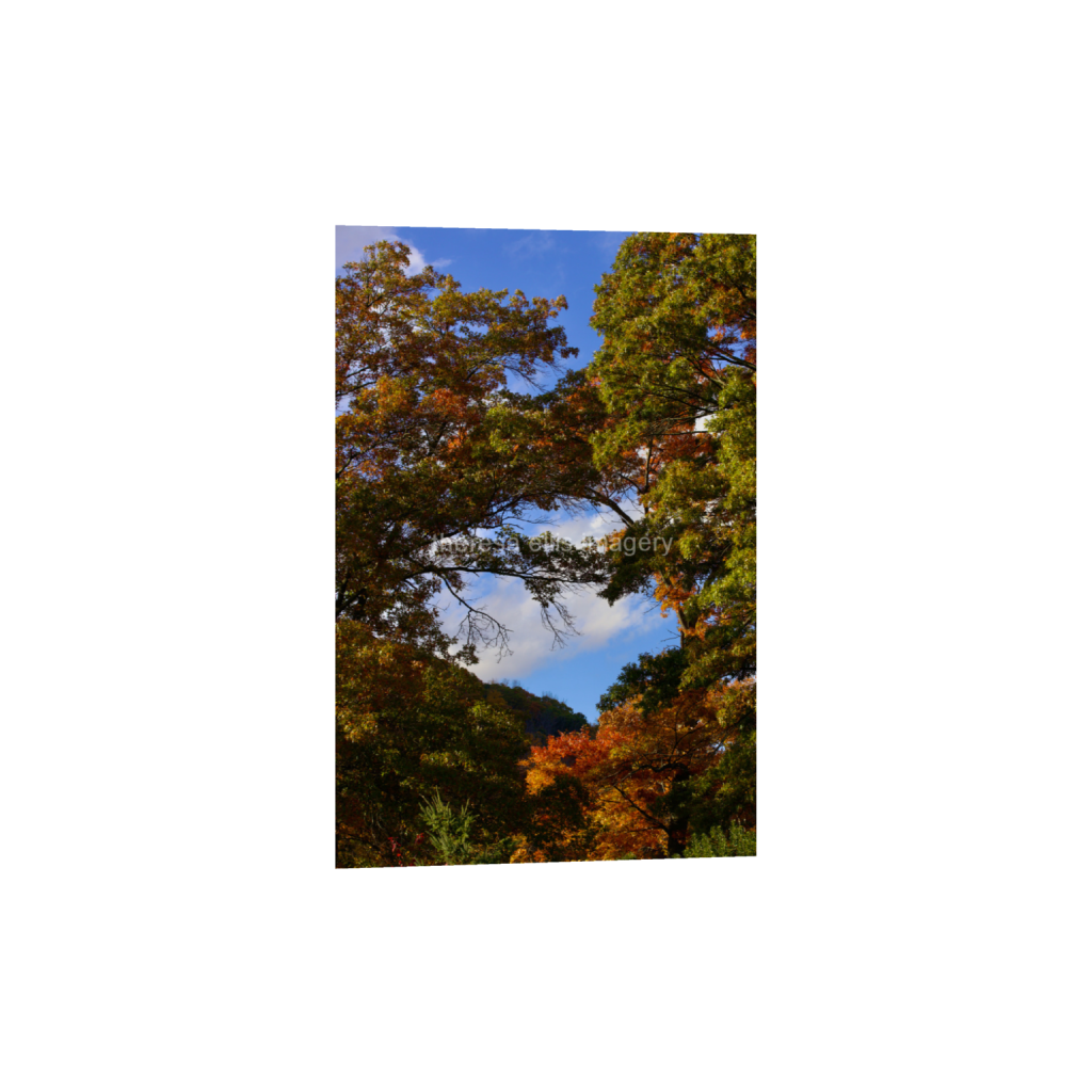 ptq_1_3_0_0_4480_6720_0_false_ffffff_0_0_5c8a65ded2a0bd5ee7c2169a49639388.png