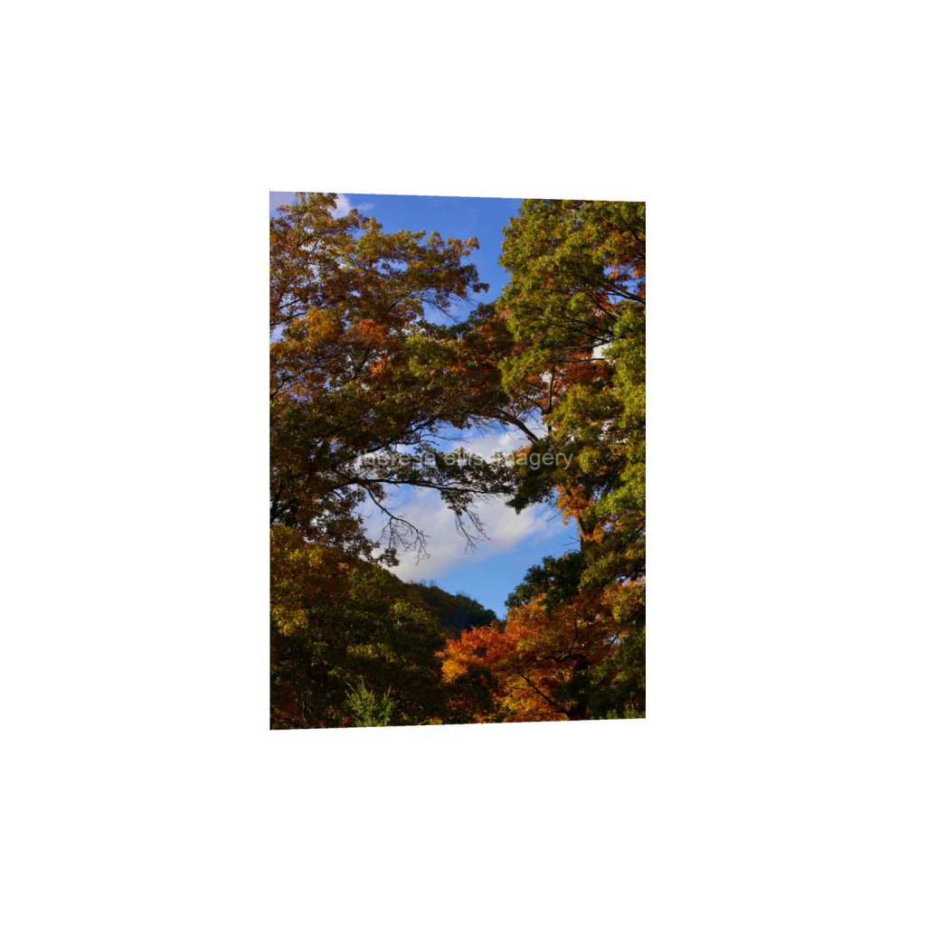 ptq_1_7_0_224_4480_6272_0_false_ffffff_0_0_5c8a65ded2a0bd5ee7c2169a49639388.png