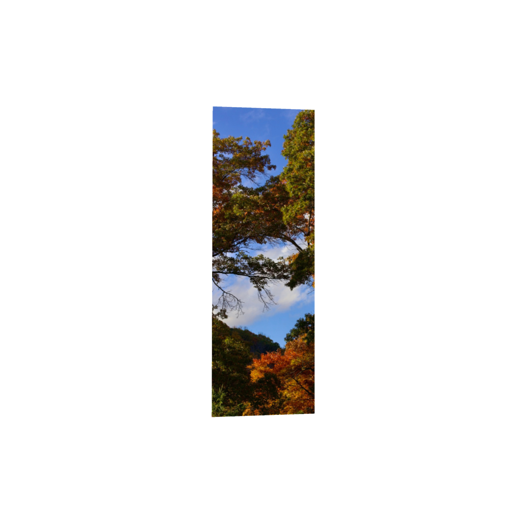 ptq_1_2_1120_0_2240_6720_0_false_ffffff_0_0_5c8a65ded2a0bd5ee7c2169a49639388.png