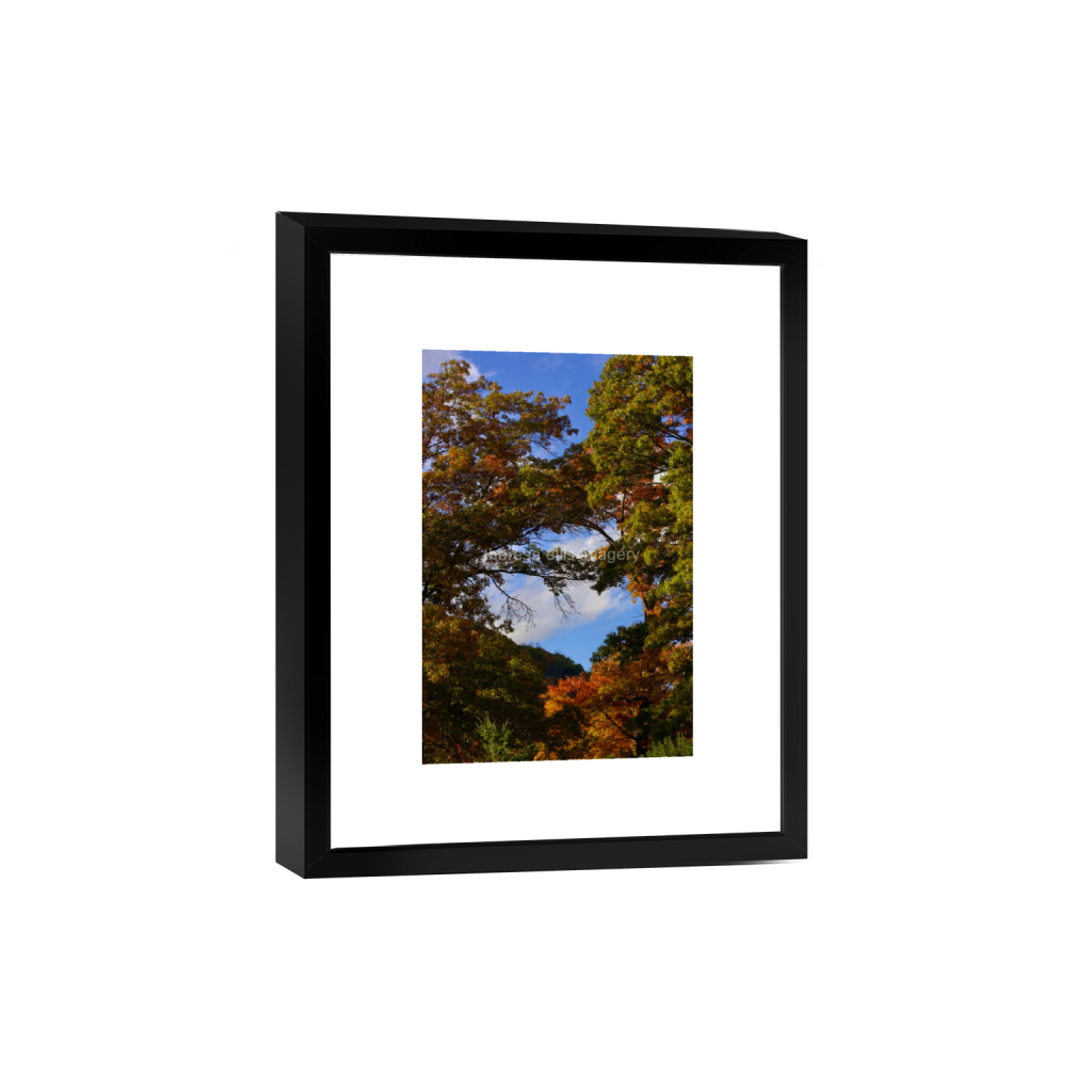 ptq_45_3_0_0_4480_6720_0_false_ffffff_0_0_5c8a65ded2a0bd5ee7c2169a49639388.png