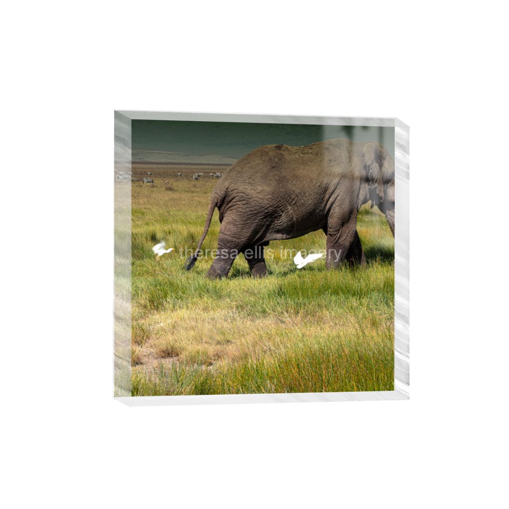 ptq_300_0_1167_0_4054_4054_0_false_ffffff_0_0_5c8a65ded2a0bd5ee7c2169a49639388.png
