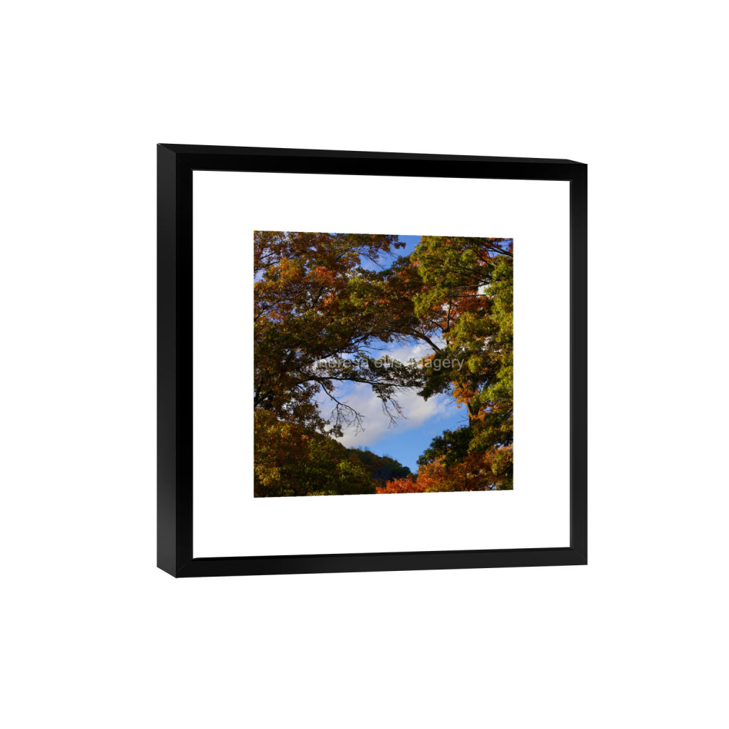 ptq_45_0_0_1120_4480_4480_0_false_ffffff_0_0_5c8a65ded2a0bd5ee7c2169a49639388.png