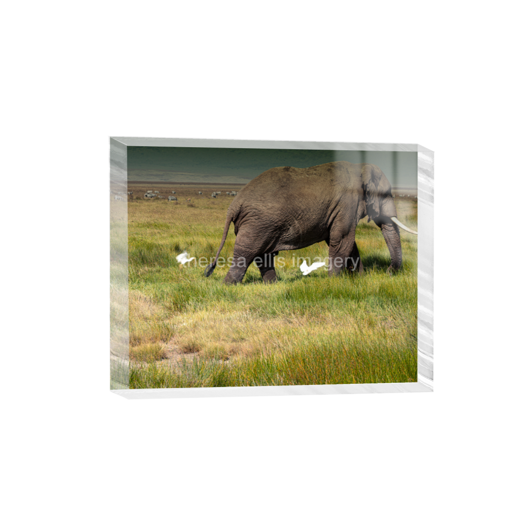 ptq_300_6_660_0_5067_4054_0_false_ffffff_0_0_5c8a65ded2a0bd5ee7c2169a49639388.png