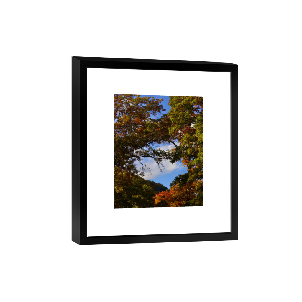 ptq_45_6_0_560_4480_5600_0_false_ffffff_0_0_5c8a65ded2a0bd5ee7c2169a49639388.png