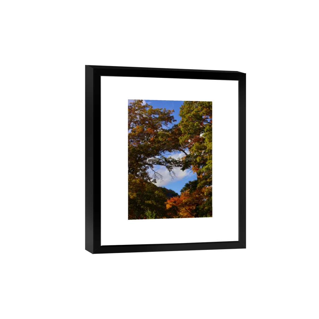 ptq_45_7_0_224_4480_6272_0_false_ffffff_0_0_5c8a65ded2a0bd5ee7c2169a49639388.png