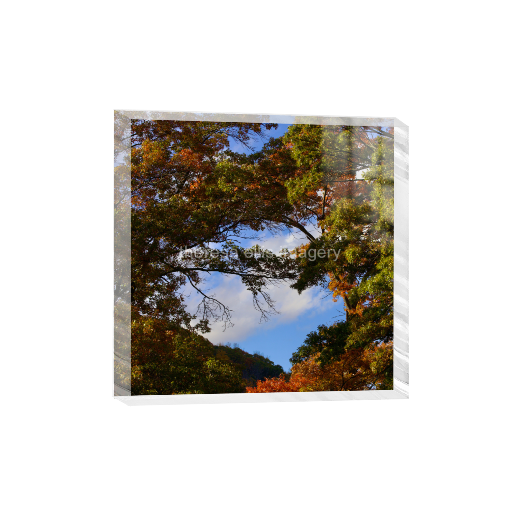 ptq_300_0_0_1120_4480_4480_0_false_ffffff_0_0_5c8a65ded2a0bd5ee7c2169a49639388.png