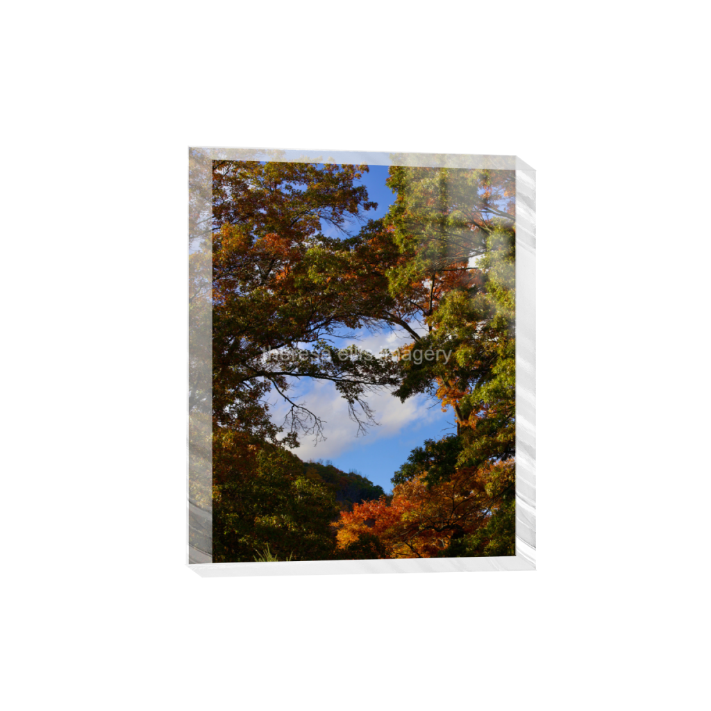 ptq_300_6_0_560_4480_5600_0_false_ffffff_0_0_5c8a65ded2a0bd5ee7c2169a49639388.png