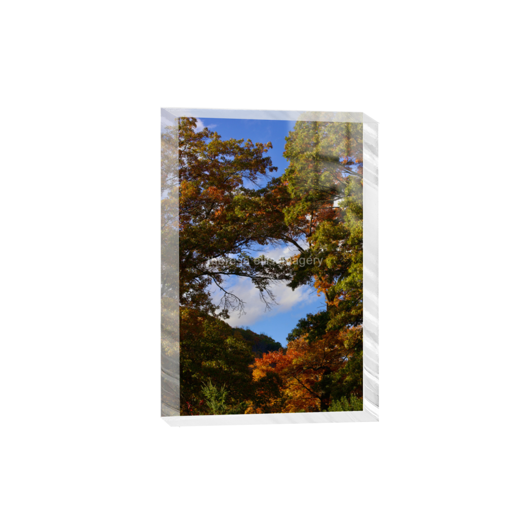 ptq_300_3_0_0_4480_6720_0_false_ffffff_0_0_5c8a65ded2a0bd5ee7c2169a49639388.png