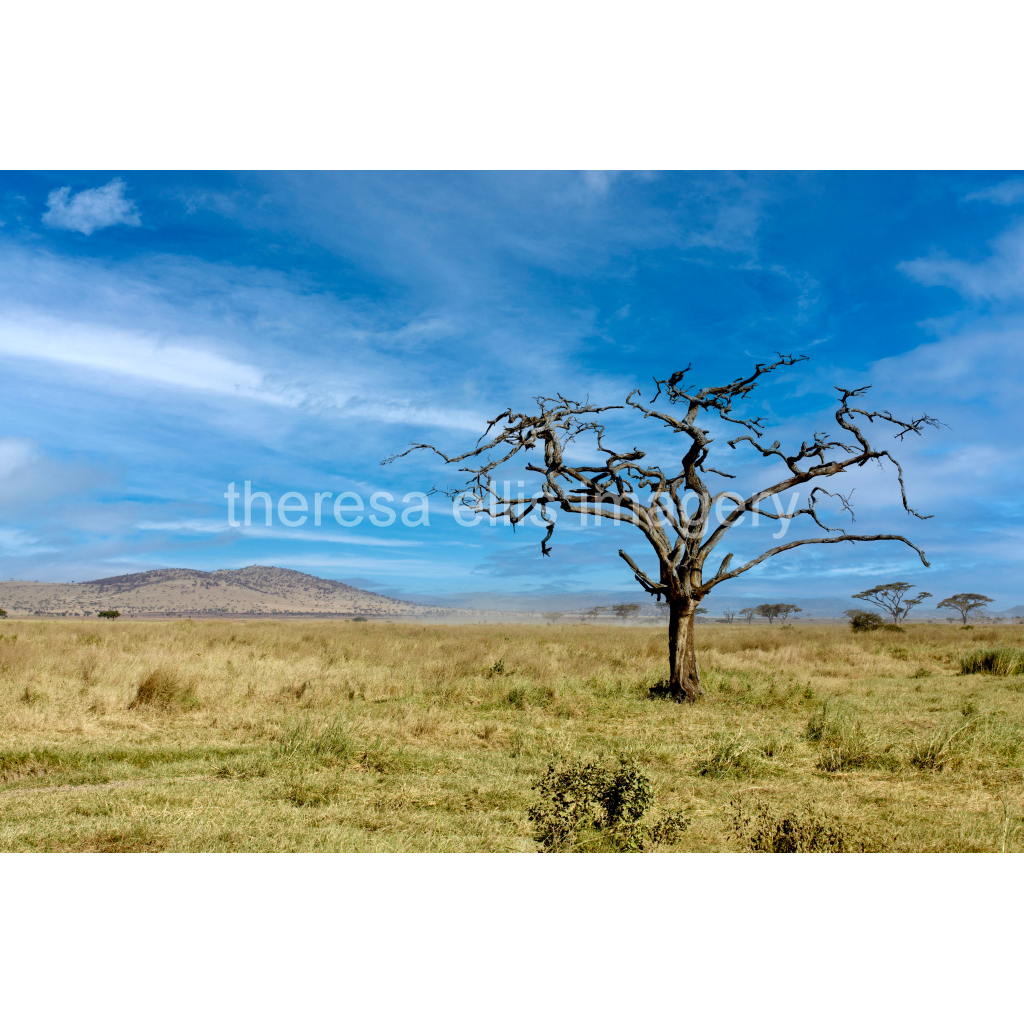 image_original_5c8a65ded2a0bd5ee7c2169a49639388.png