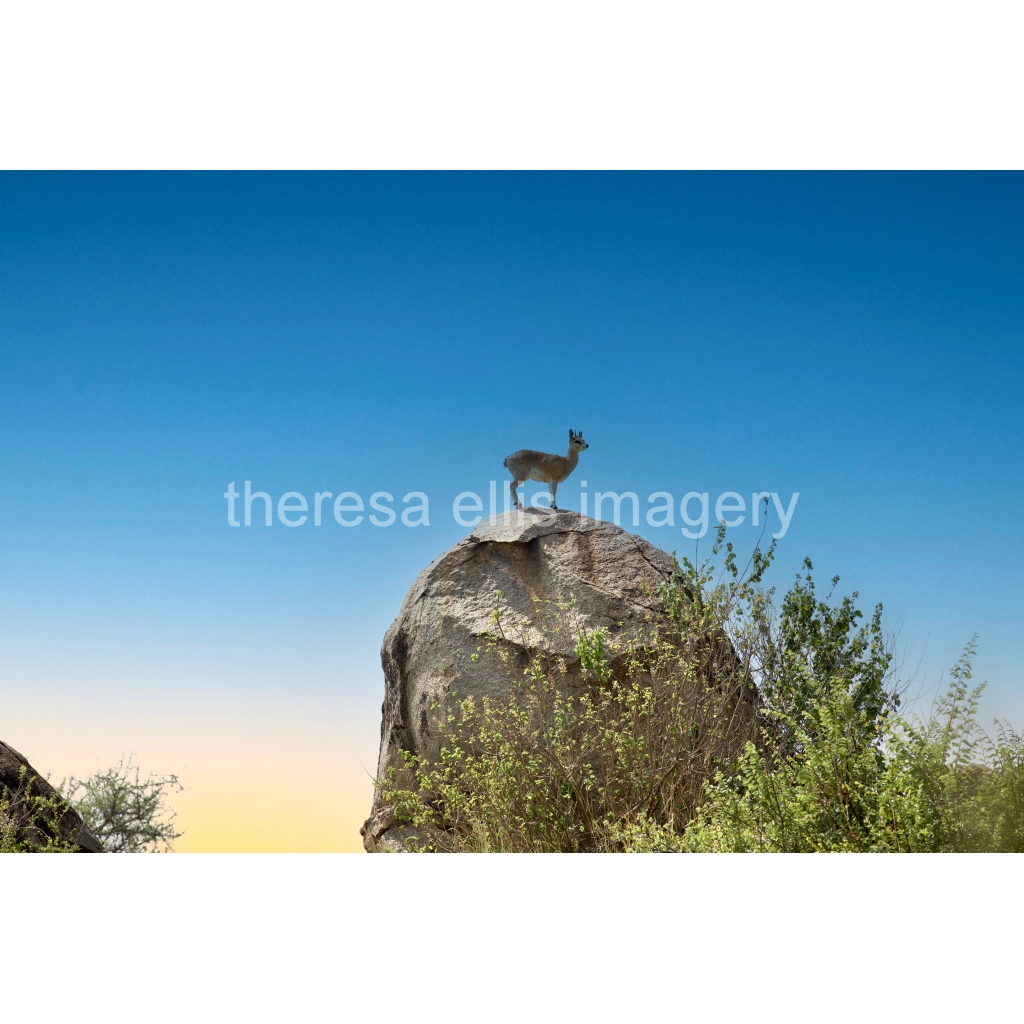 image_original_5c8a65ded2a0bd5ee7c2169a49639388.png