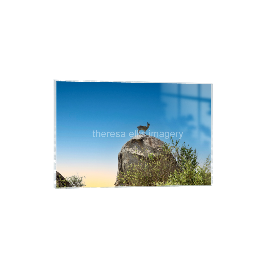 ptq_17_3_0_0_6720_4480_0_false_ffffff_0_0_5c8a65ded2a0bd5ee7c2169a49639388.png