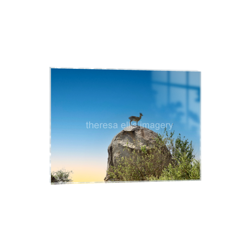 ptq_17_5_373_0_5973_4480_0_false_ffffff_0_0_5c8a65ded2a0bd5ee7c2169a49639388.png