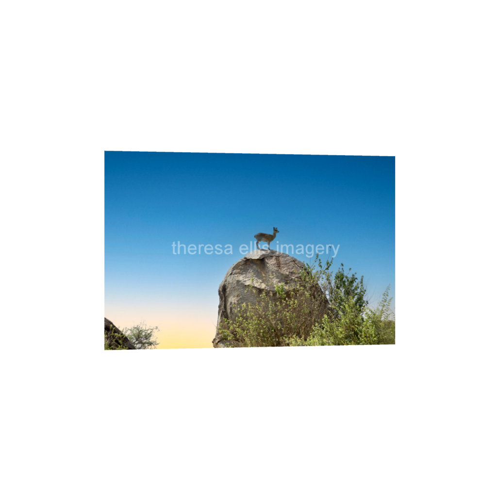ptq_1_3_0_0_6720_4480_0_false_ffffff_0_0_5c8a65ded2a0bd5ee7c2169a49639388.png
