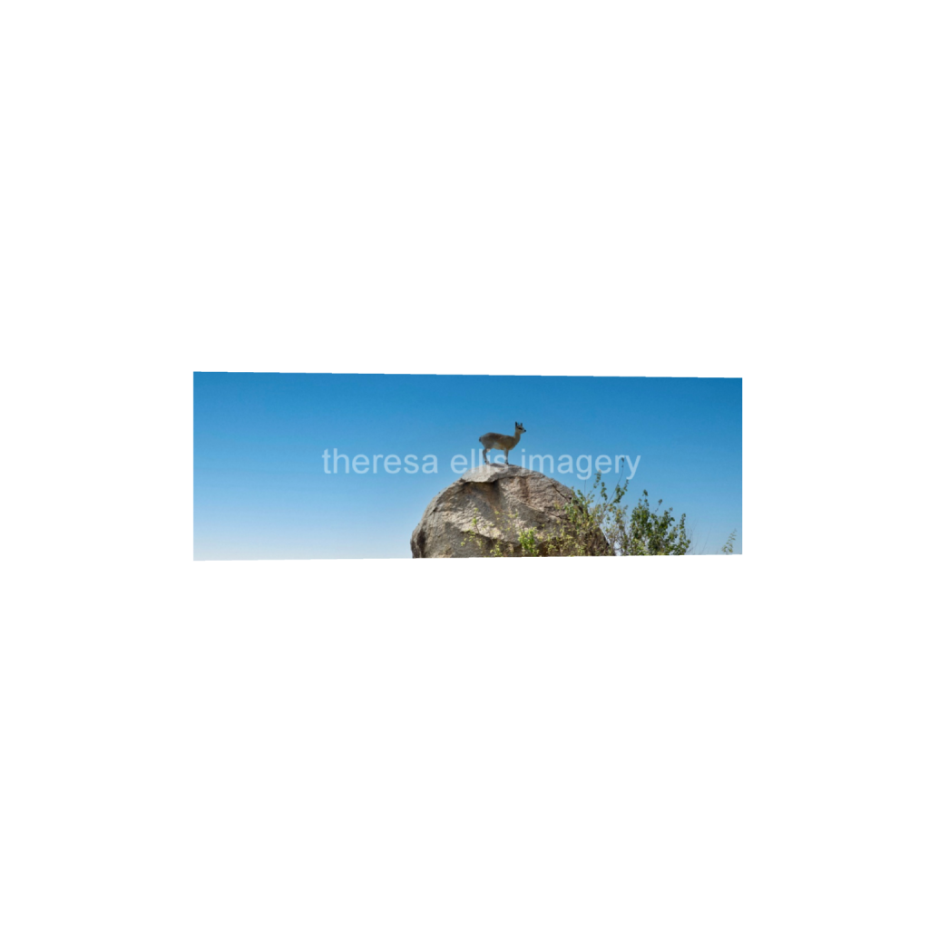 ptq_1_2_0_1120_6720_2240_0_false_ffffff_0_0_5c8a65ded2a0bd5ee7c2169a49639388.png