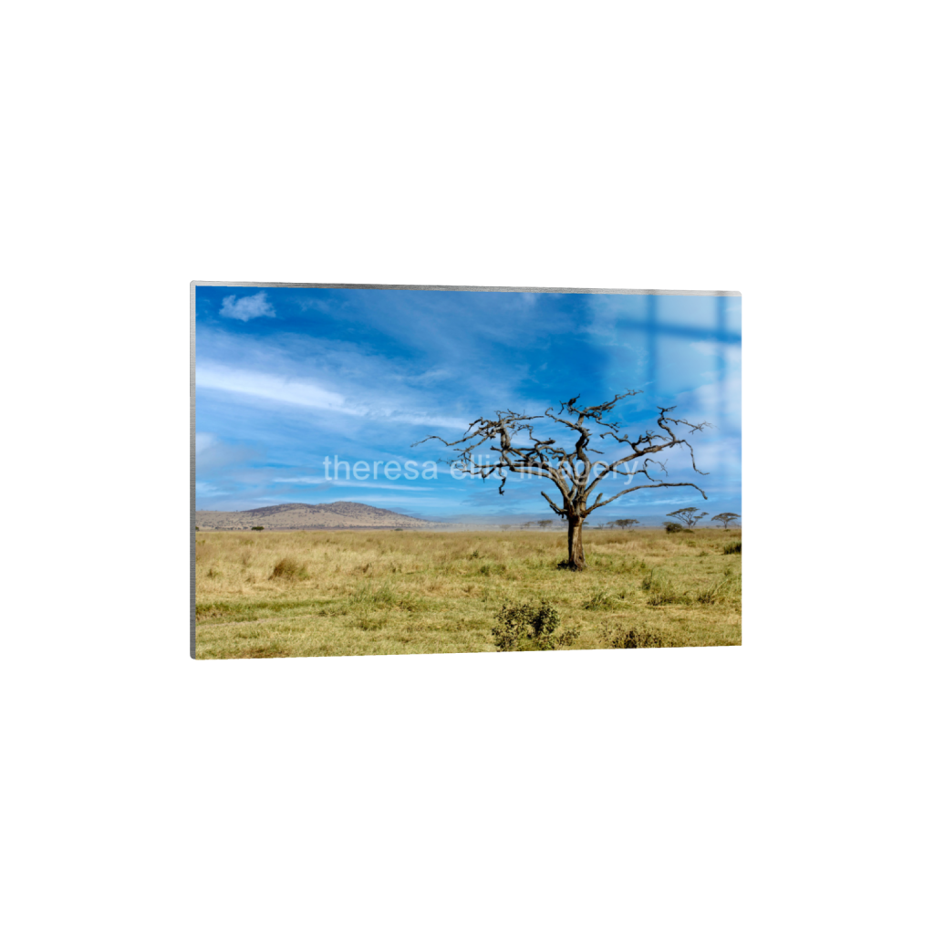 ptq_13_3_0_0_6720_4480_0_false_ffffff_0_0_5c8a65ded2a0bd5ee7c2169a49639388.png