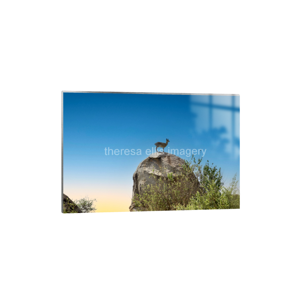 ptq_13_3_0_0_6720_4480_0_false_ffffff_0_0_5c8a65ded2a0bd5ee7c2169a49639388.png