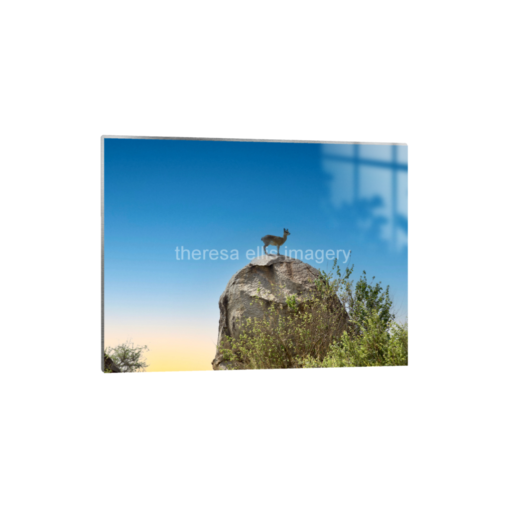 ptq_13_5_373_0_5973_4480_0_false_ffffff_0_0_5c8a65ded2a0bd5ee7c2169a49639388.png
