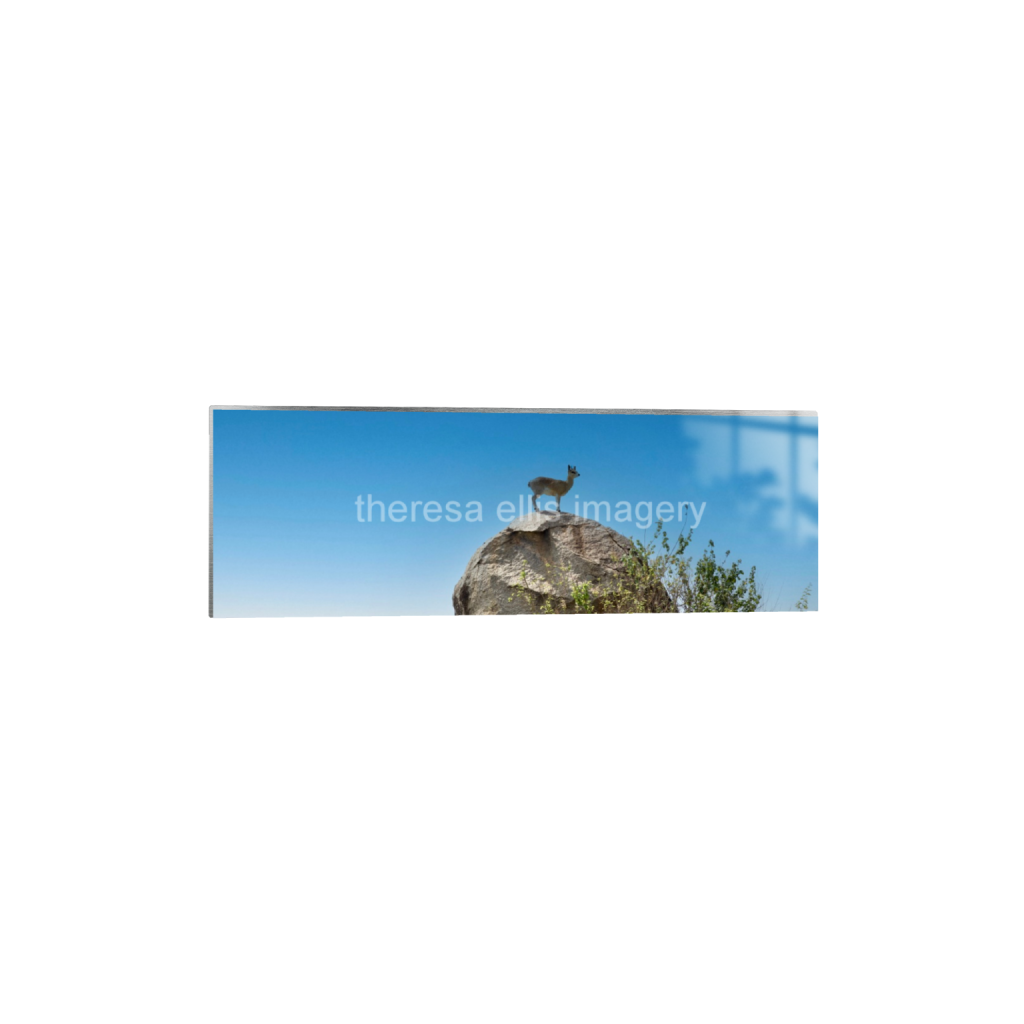 ptq_13_2_0_1120_6720_2240_0_false_ffffff_0_0_5c8a65ded2a0bd5ee7c2169a49639388.png