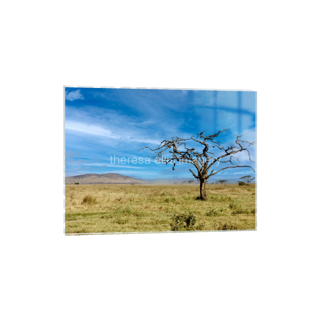 ptq_17_5_373_0_5973_4480_0_false_ffffff_0_0_5c8a65ded2a0bd5ee7c2169a49639388.png