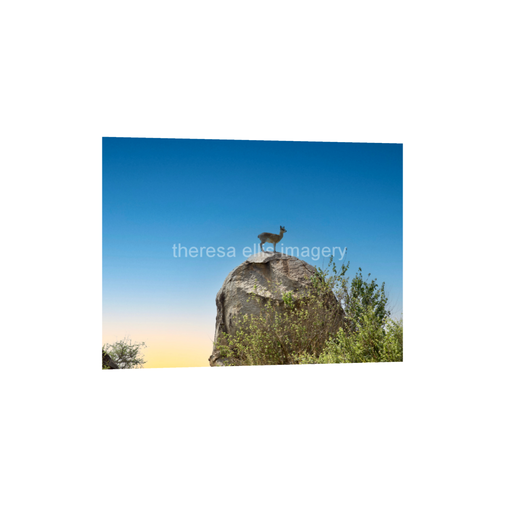 ptq_34_5_373_0_5973_4480_0_false_ffffff_0_0_5c8a65ded2a0bd5ee7c2169a49639388.png
