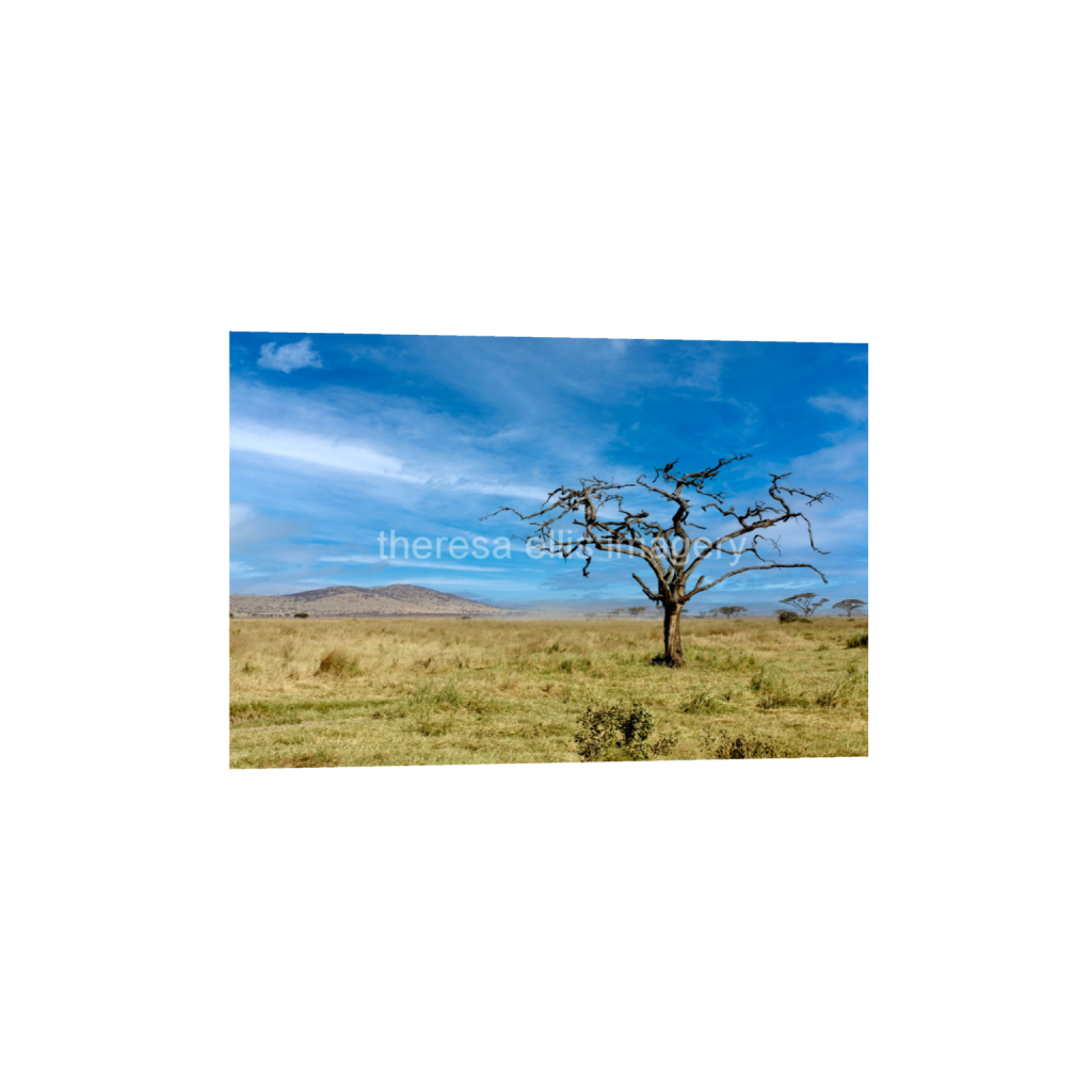 ptq_34_3_0_0_6720_4480_0_false_ffffff_0_0_5c8a65ded2a0bd5ee7c2169a49639388.png