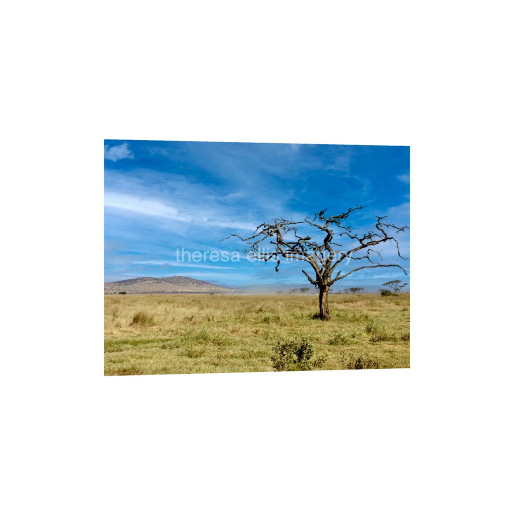 ptq_34_5_373_0_5973_4480_0_false_ffffff_0_0_5c8a65ded2a0bd5ee7c2169a49639388.png