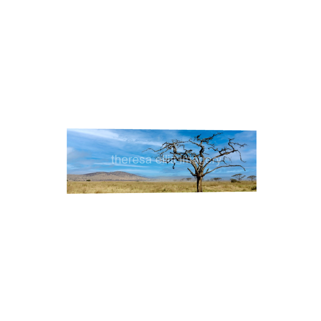 ptq_1_2_0_1120_6720_2240_0_false_ffffff_0_0_5c8a65ded2a0bd5ee7c2169a49639388.png