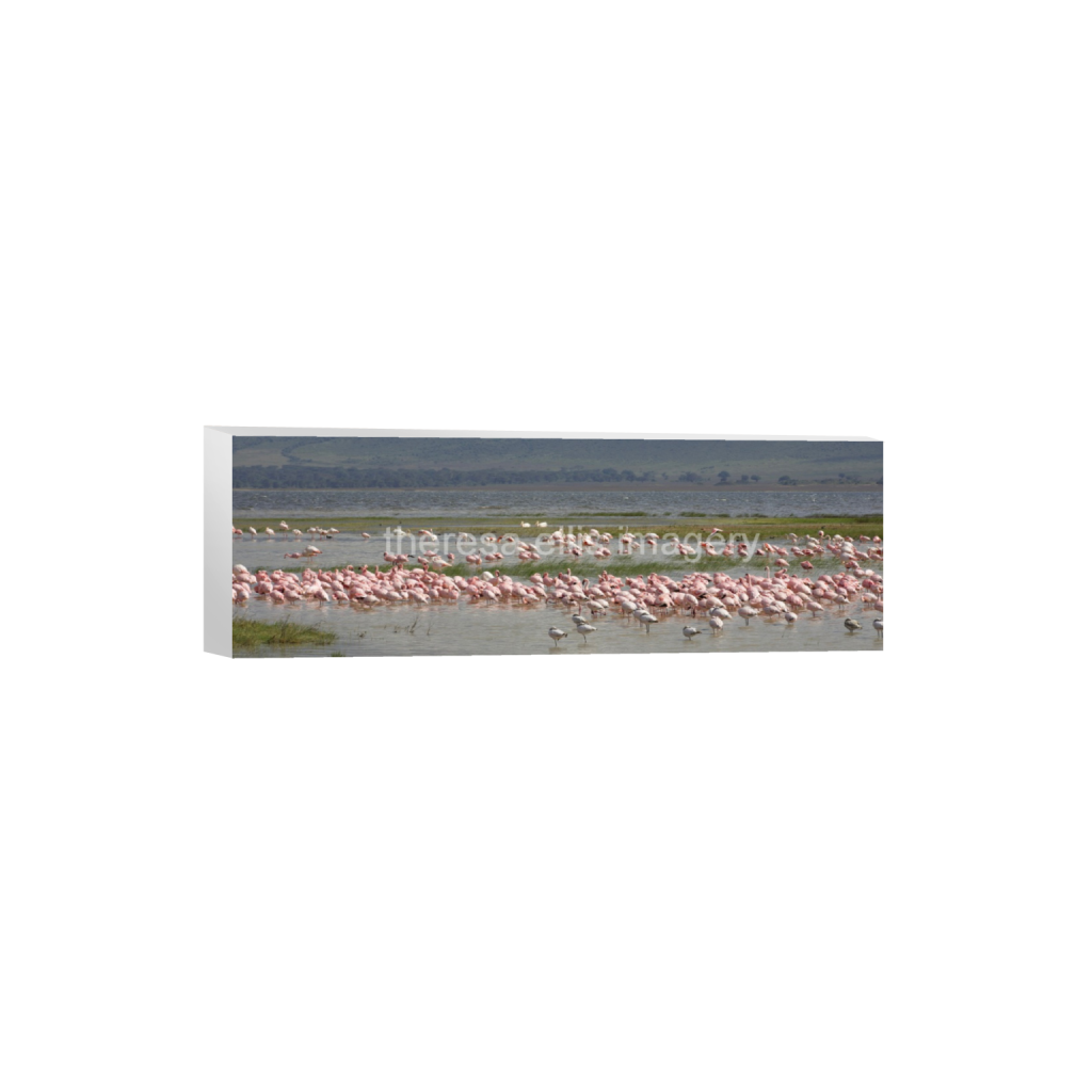 ptq_7_2_0_1006_6720_2240_0_false_ffffff_0_0_5c8a65ded2a0bd5ee7c2169a49639388.png