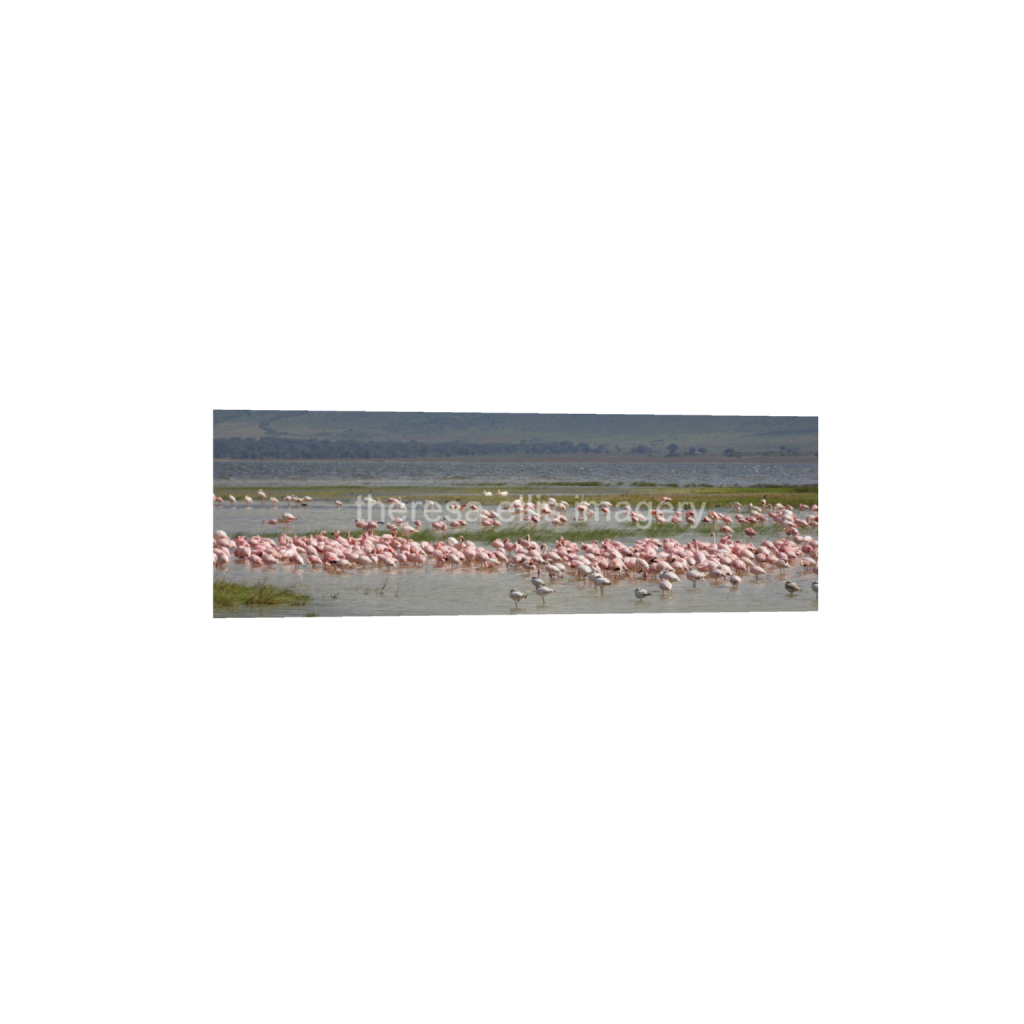 ptq_1_2_0_1006_6720_2240_0_false_ffffff_0_0_5c8a65ded2a0bd5ee7c2169a49639388.png