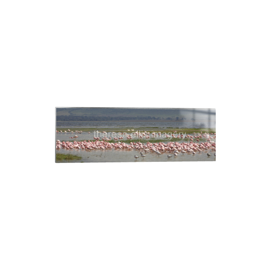 ptq_13_2_0_1006_6720_2240_0_false_ffffff_0_0_5c8a65ded2a0bd5ee7c2169a49639388.png