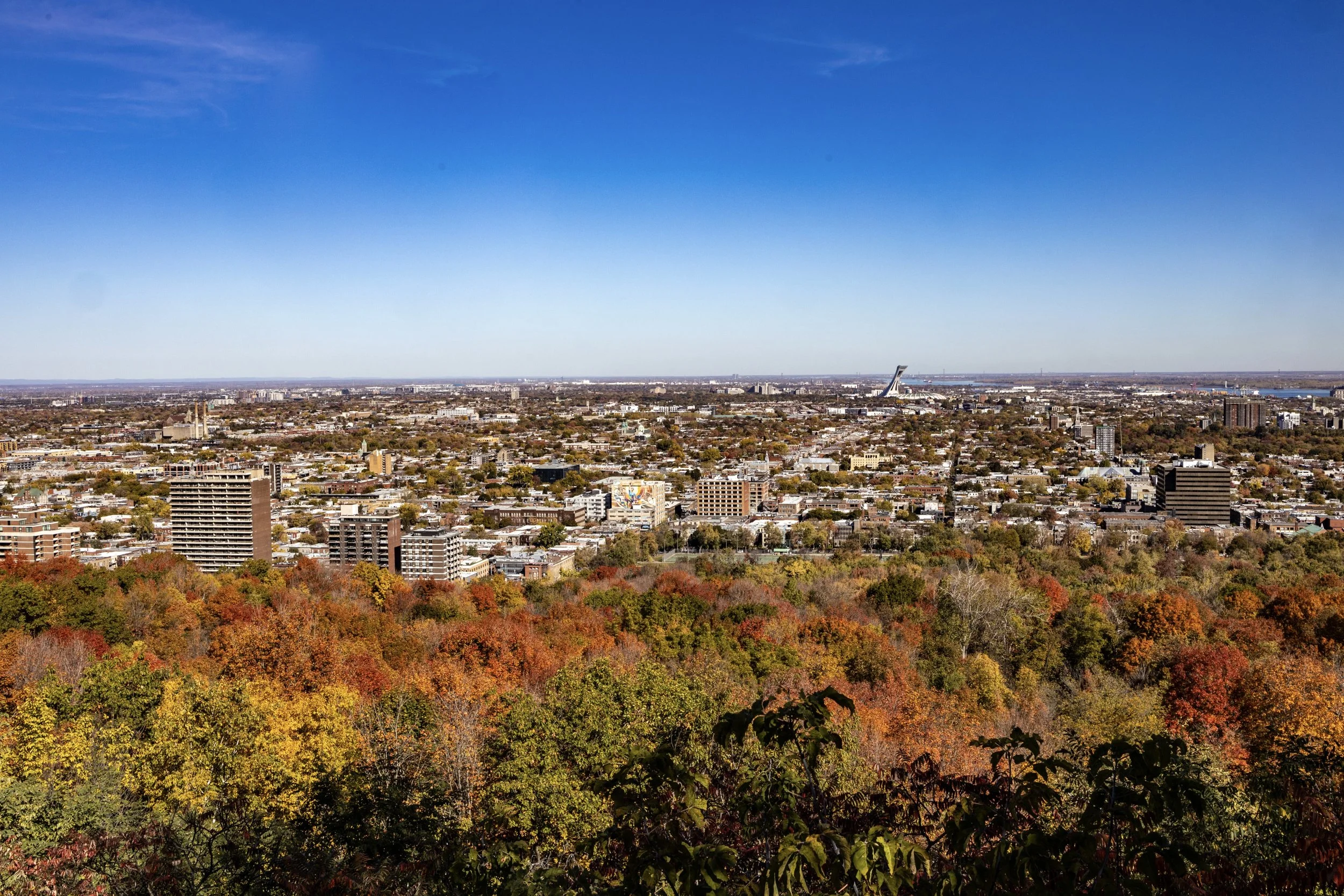 October 2025.jpg-17.jpeg