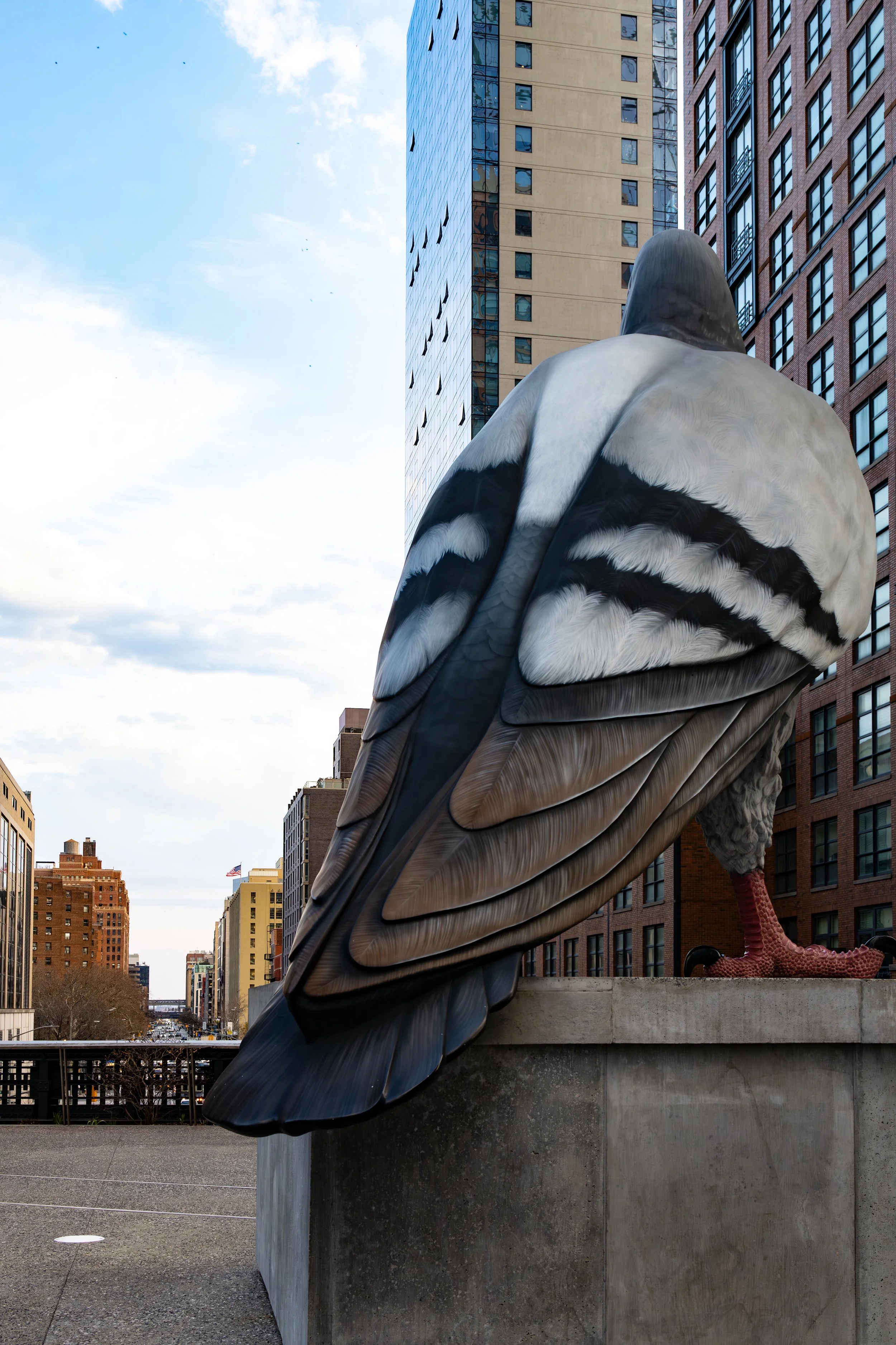 Dinosaur Pigeon.jpg