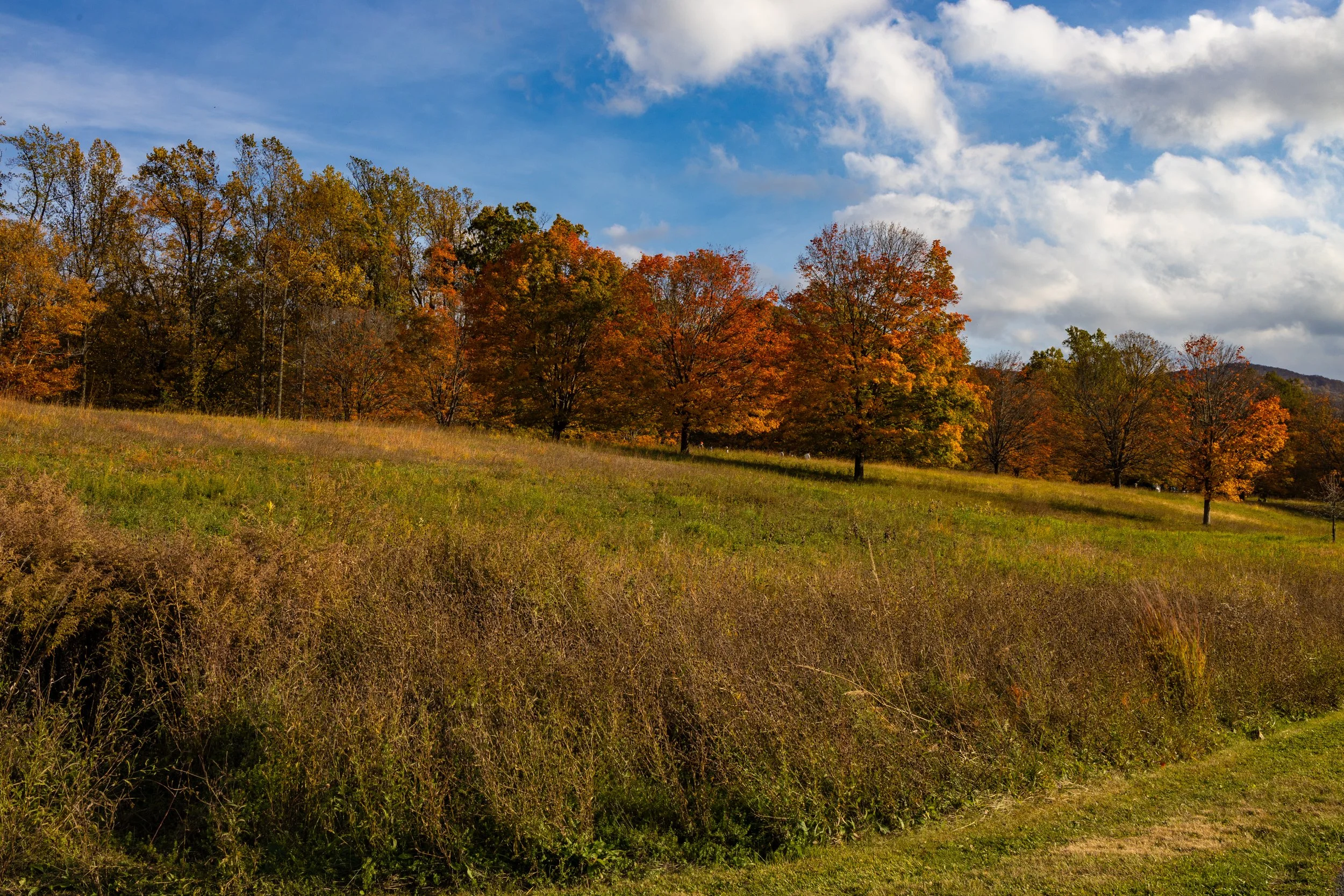 October 2025.jpg-10.jpeg