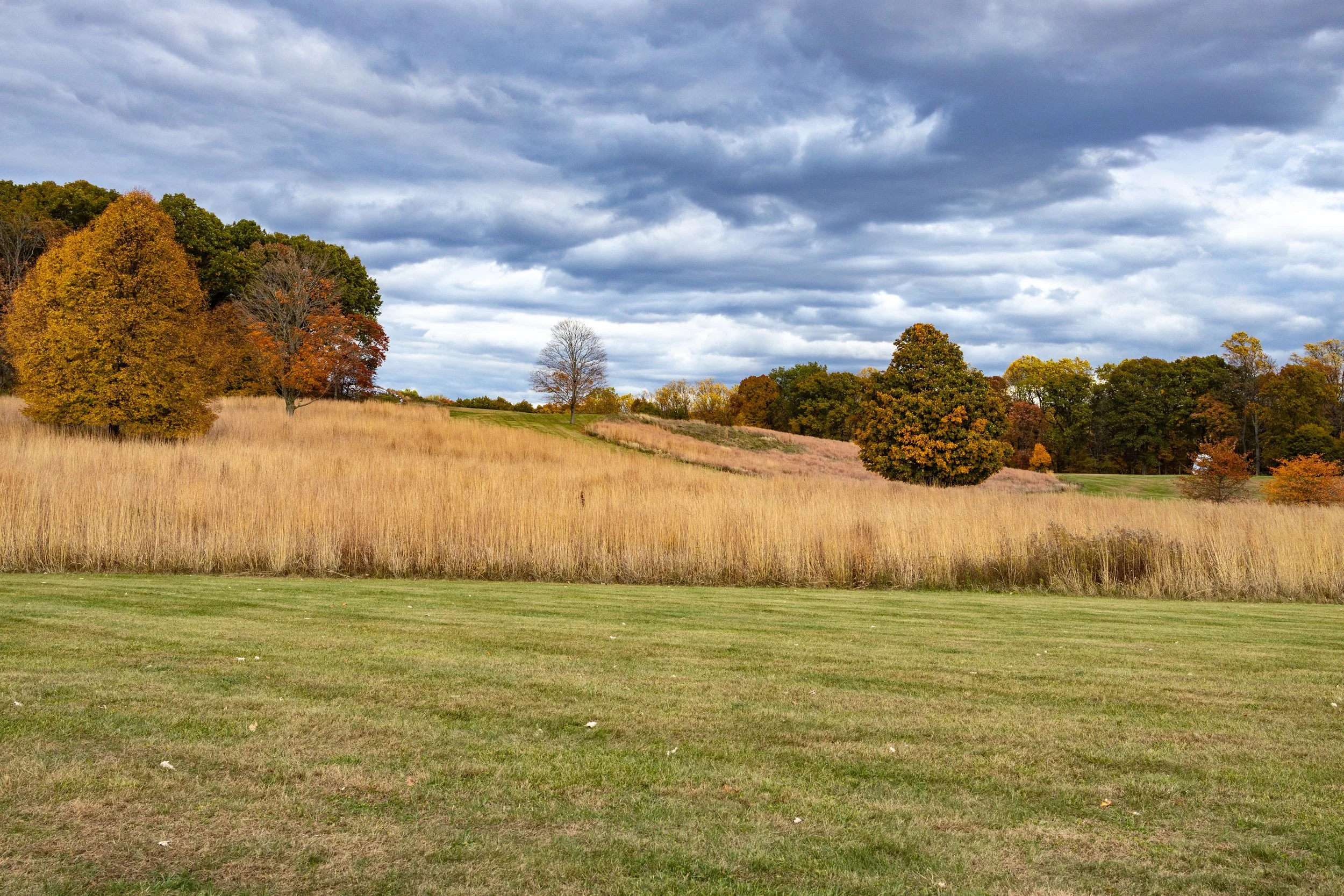 Storm King.jpeg-79.jpeg