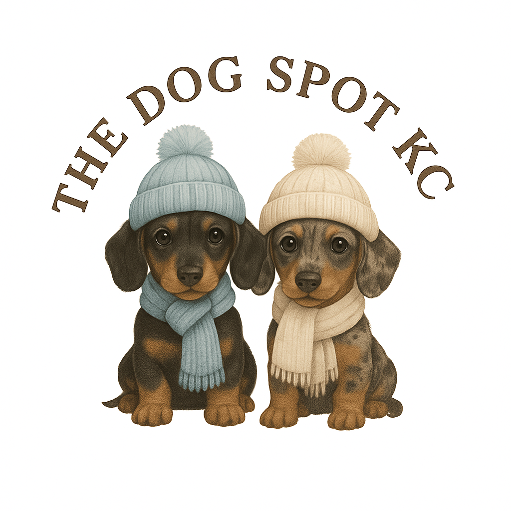 The Dog Spot Pack_KC