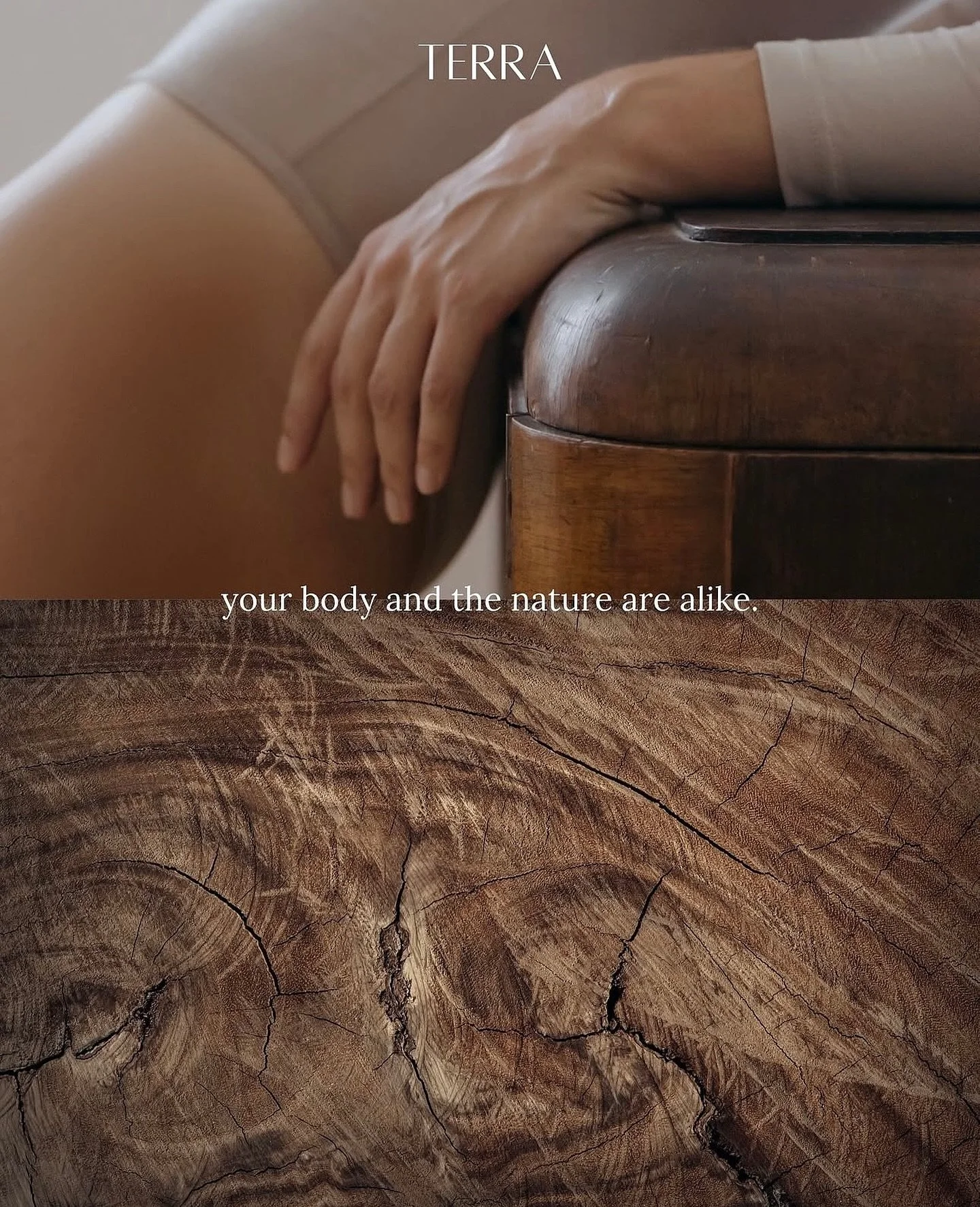 Rooted in balance ✨ #Terra #Terraneans