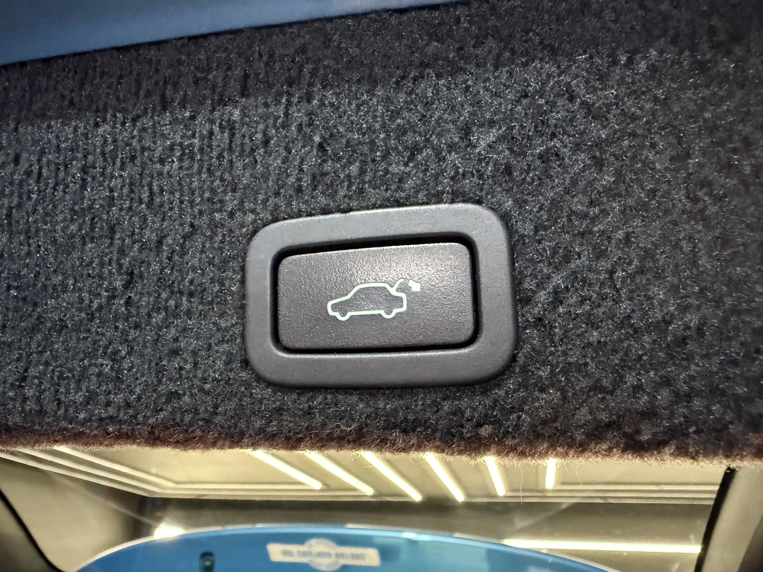 image00029.jpeg