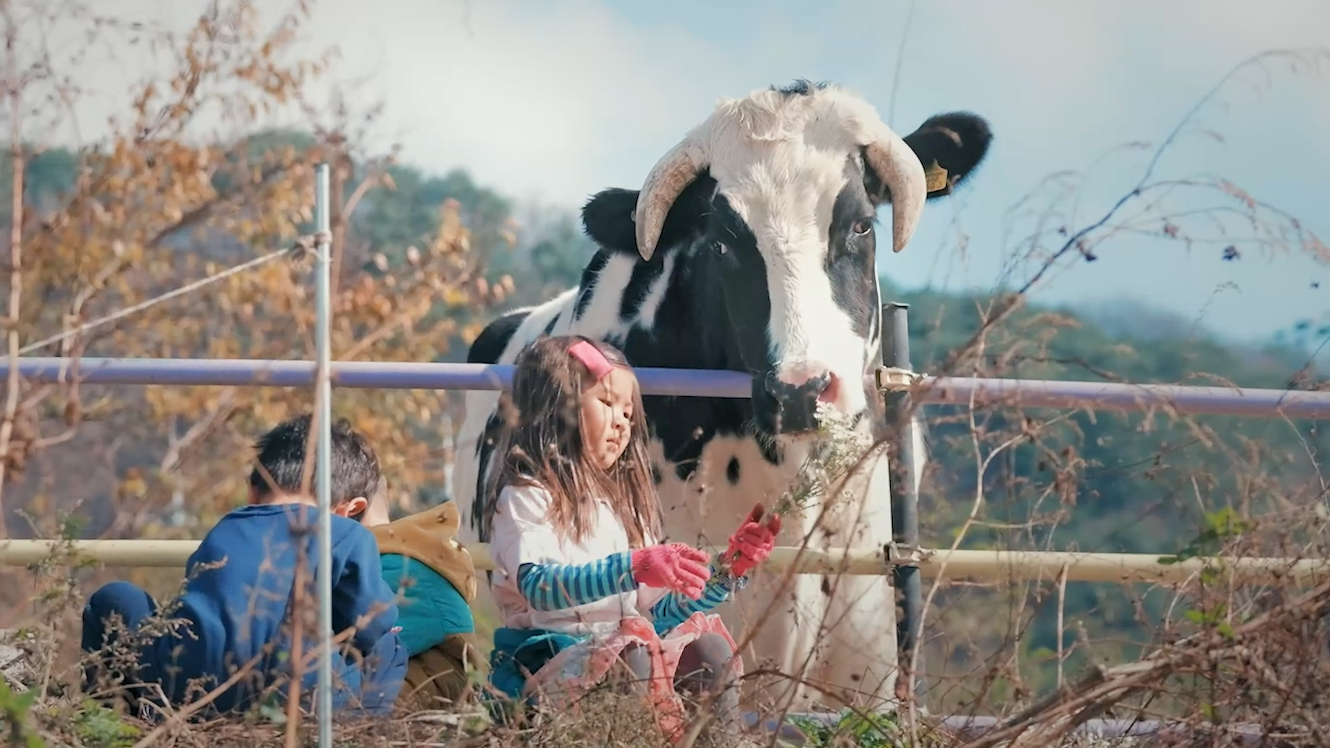 꽃풀소 (Flower Cow)