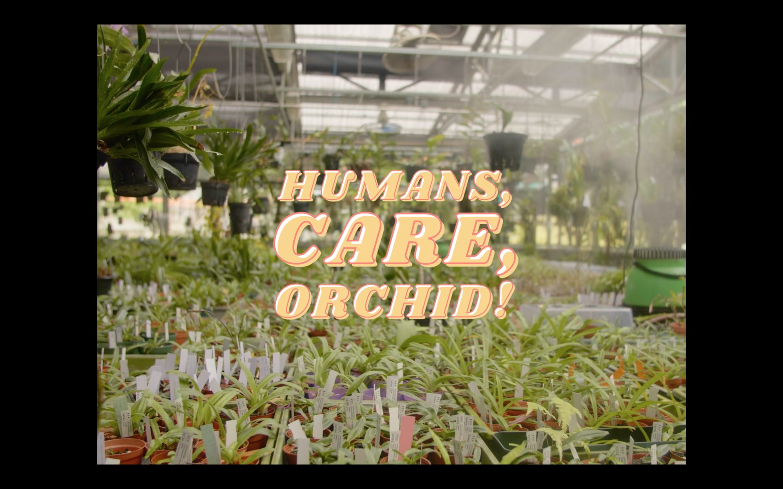 (환영합니다)난초의 행성입니다_스틸3.png