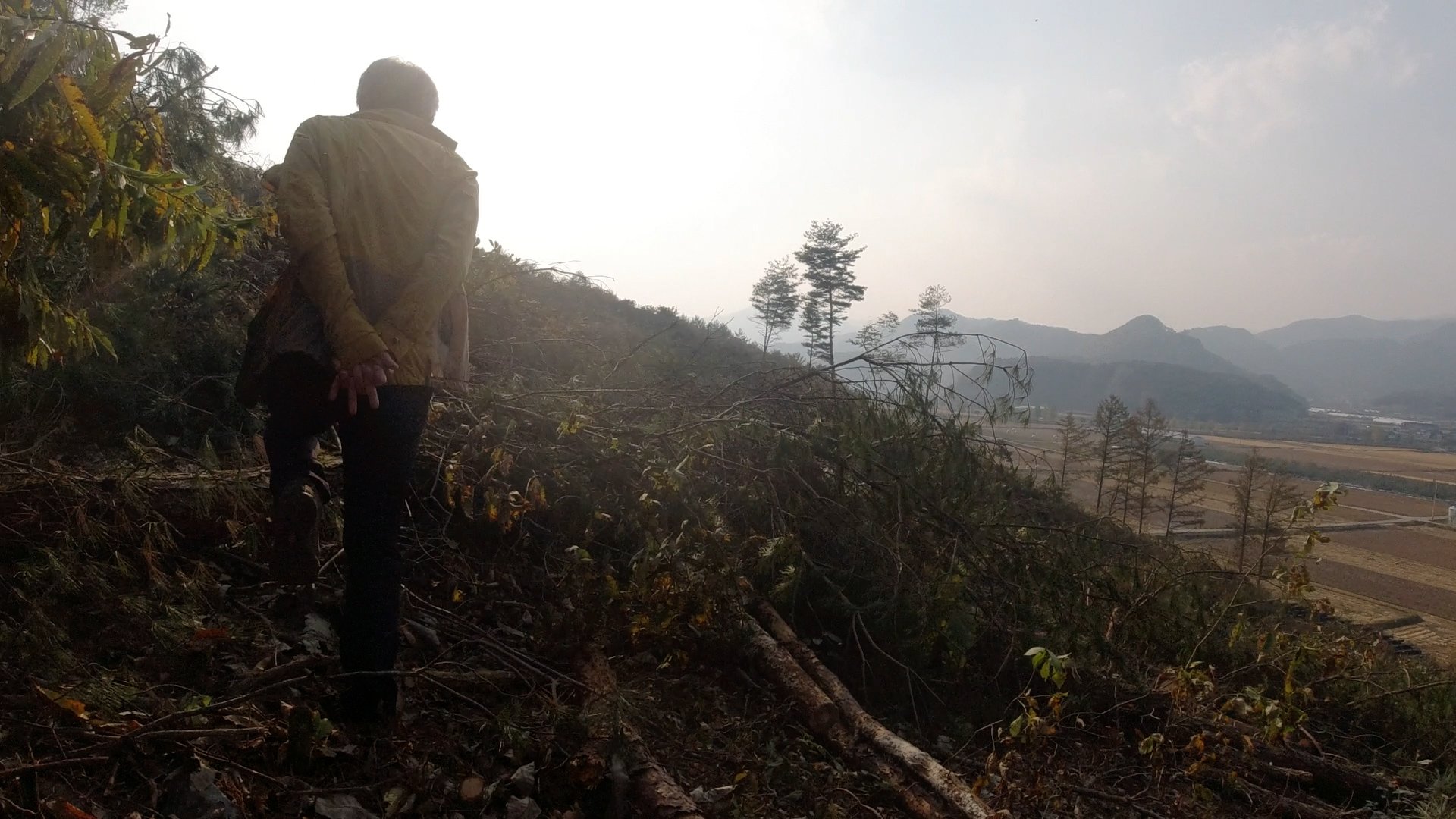 노인과 호랑이_스틸3.jpg