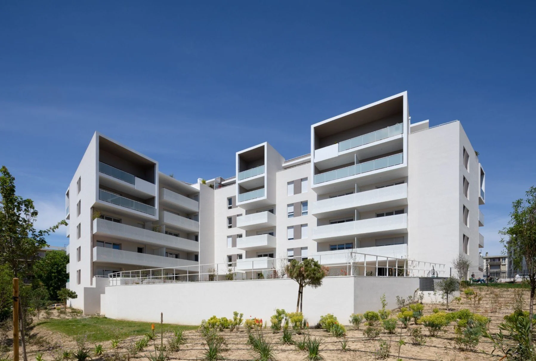 Capture d’écran 2026-01-30 101523.jpg