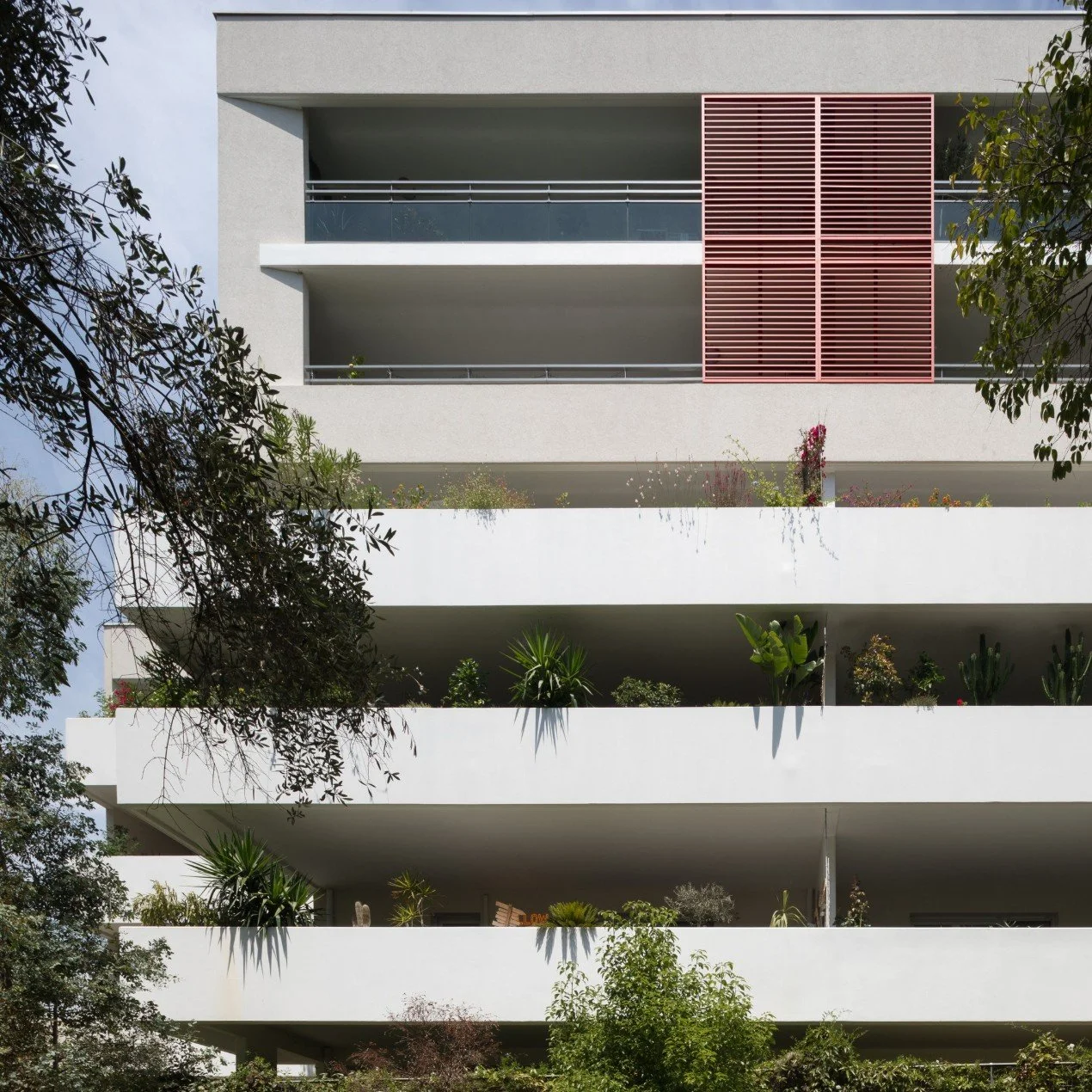 Capture d’écran 2026-01-30 162100.jpg