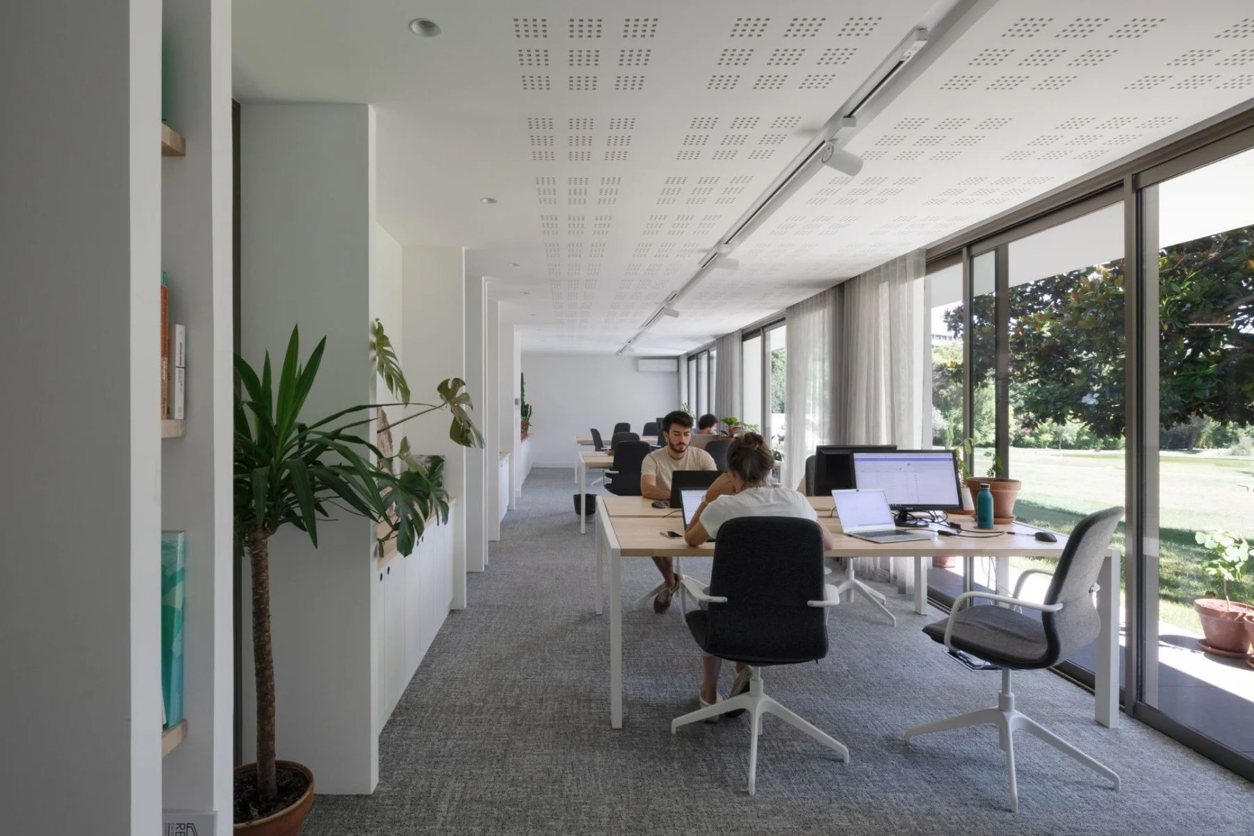 Capture d’écran 2026-01-30 101313.jpg