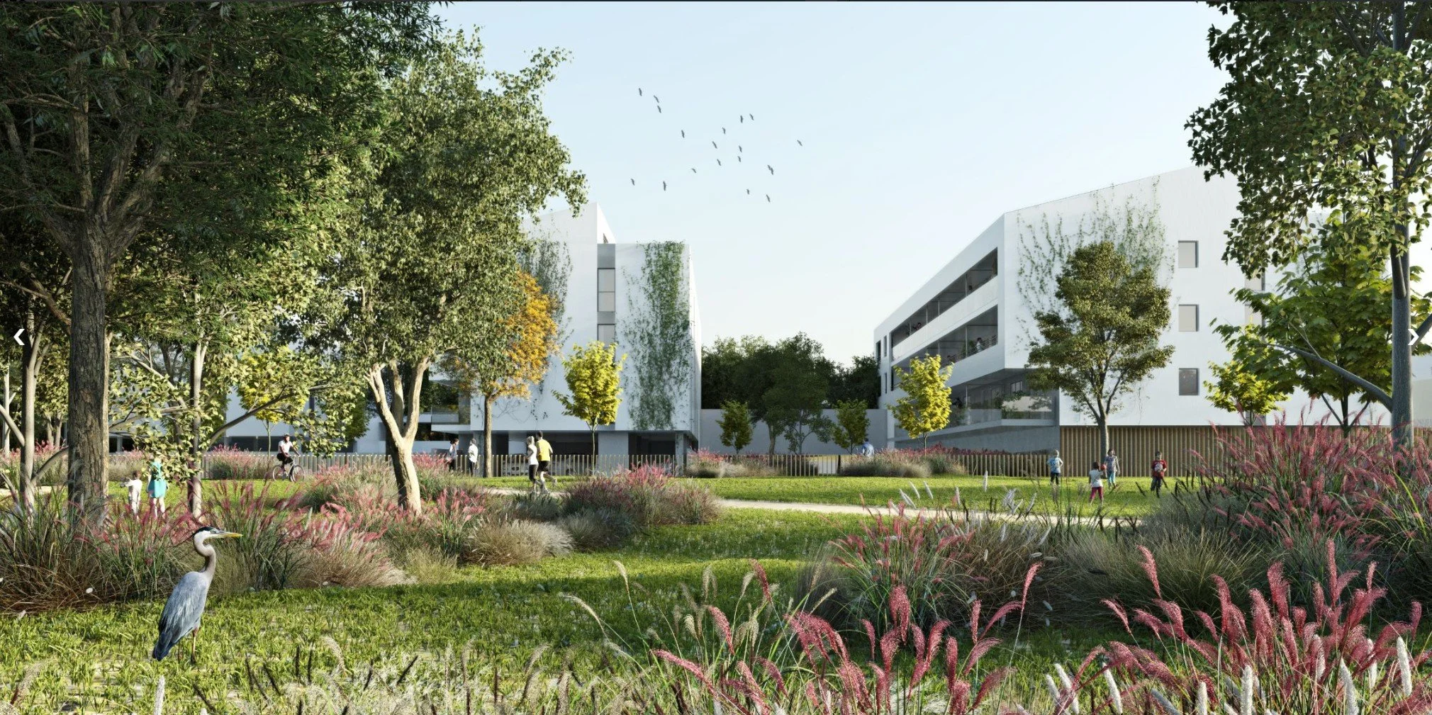 Capture d’écran 2026-01-30 101651.jpg