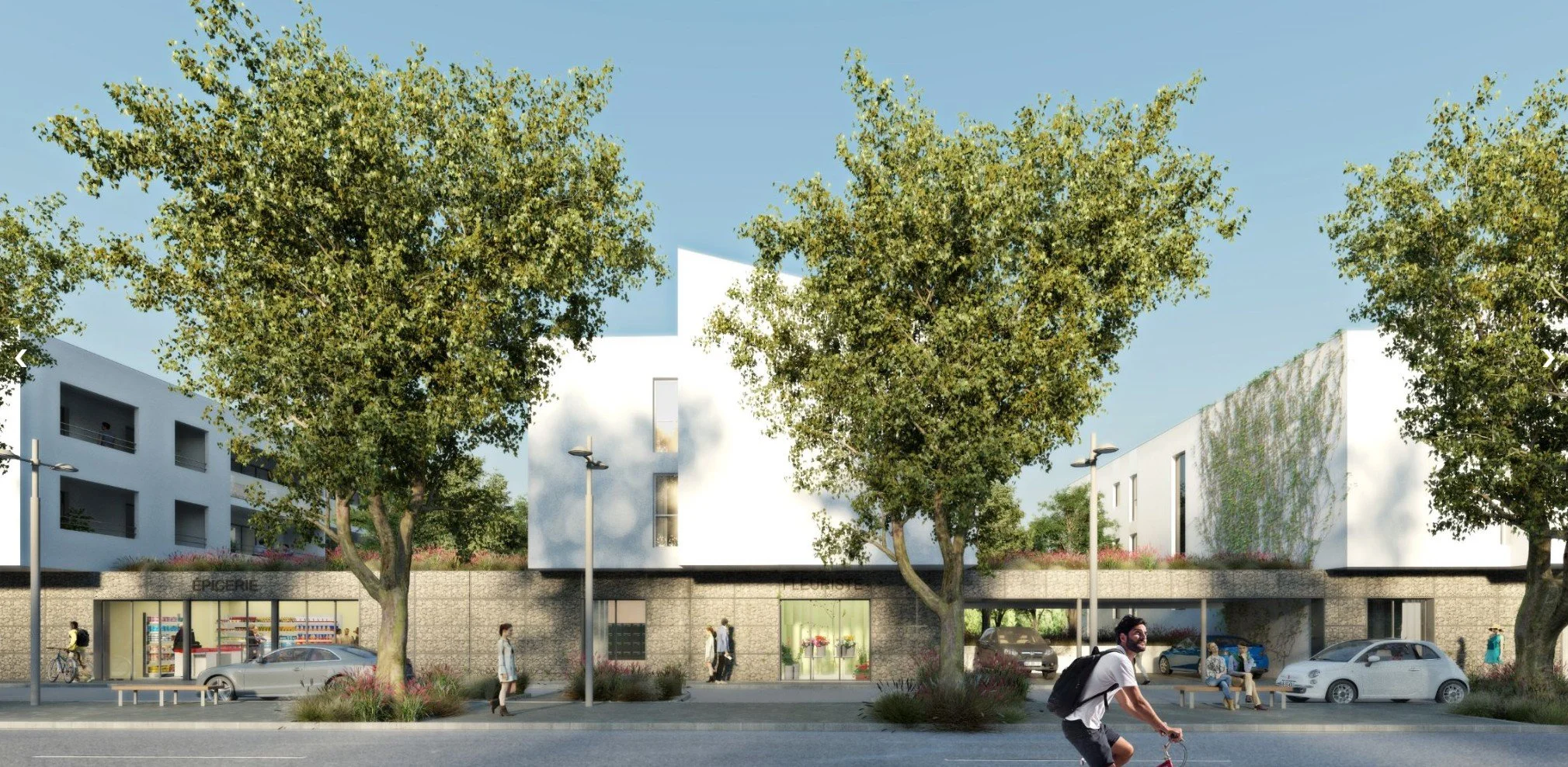 Capture d’écran 2026-01-30 101639.jpg