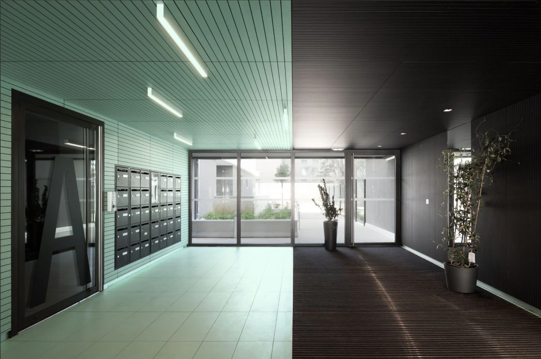 Capture d’écran 2026-02-03 112314.jpg