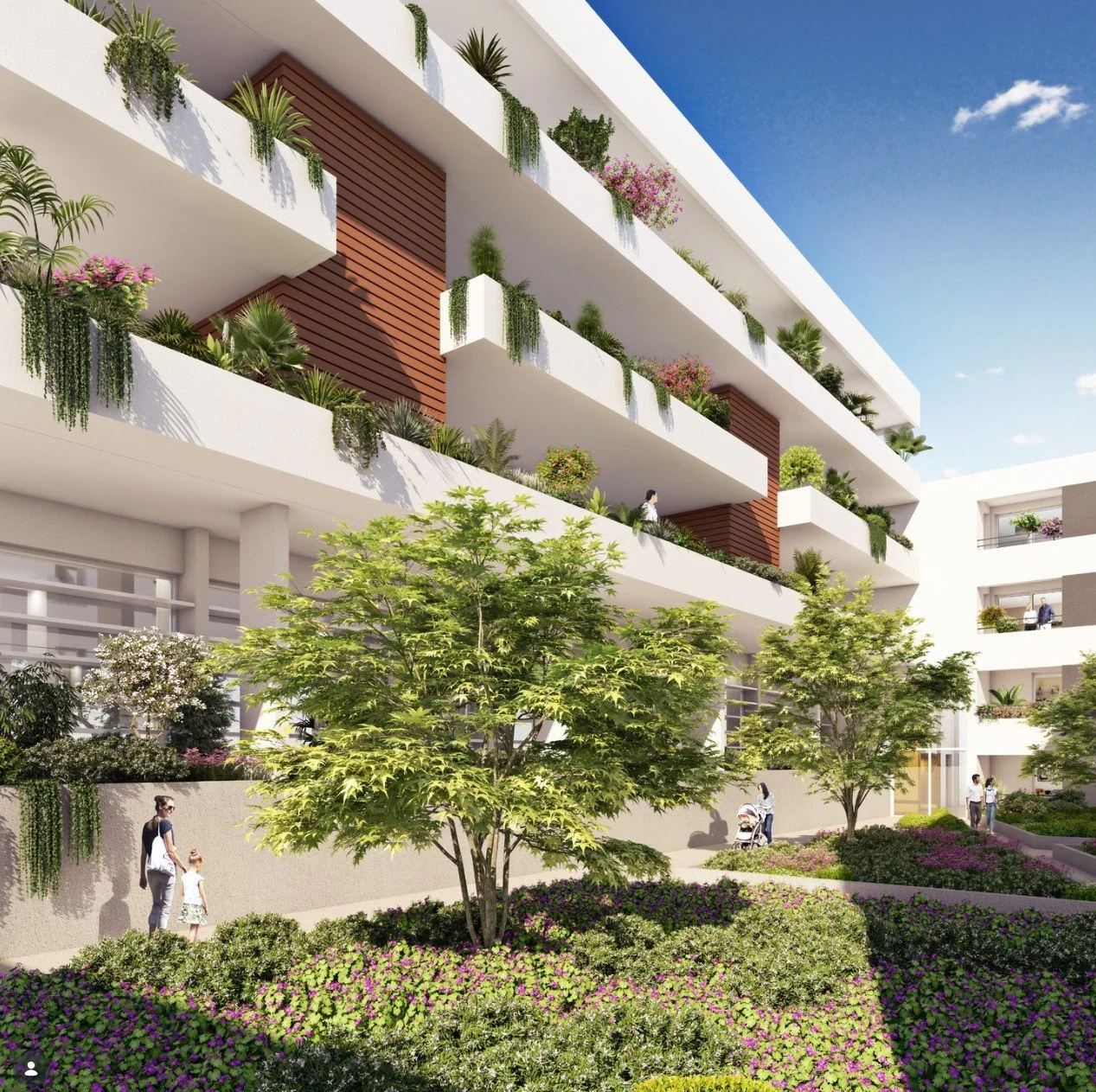 Capture d’écran 2026-01-30 162352.jpg