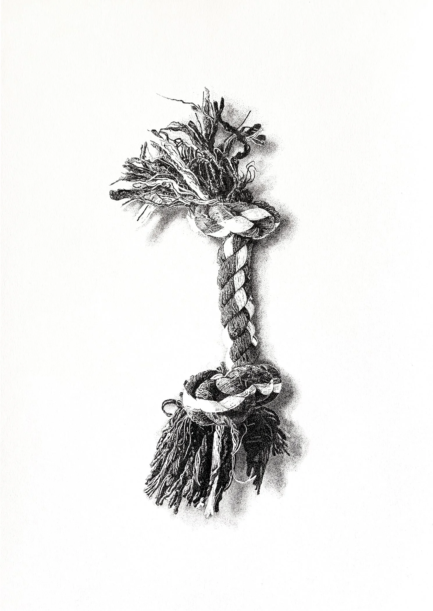 Ink on paper drawing of a dog rope toy, created in a detailed pointillist style.