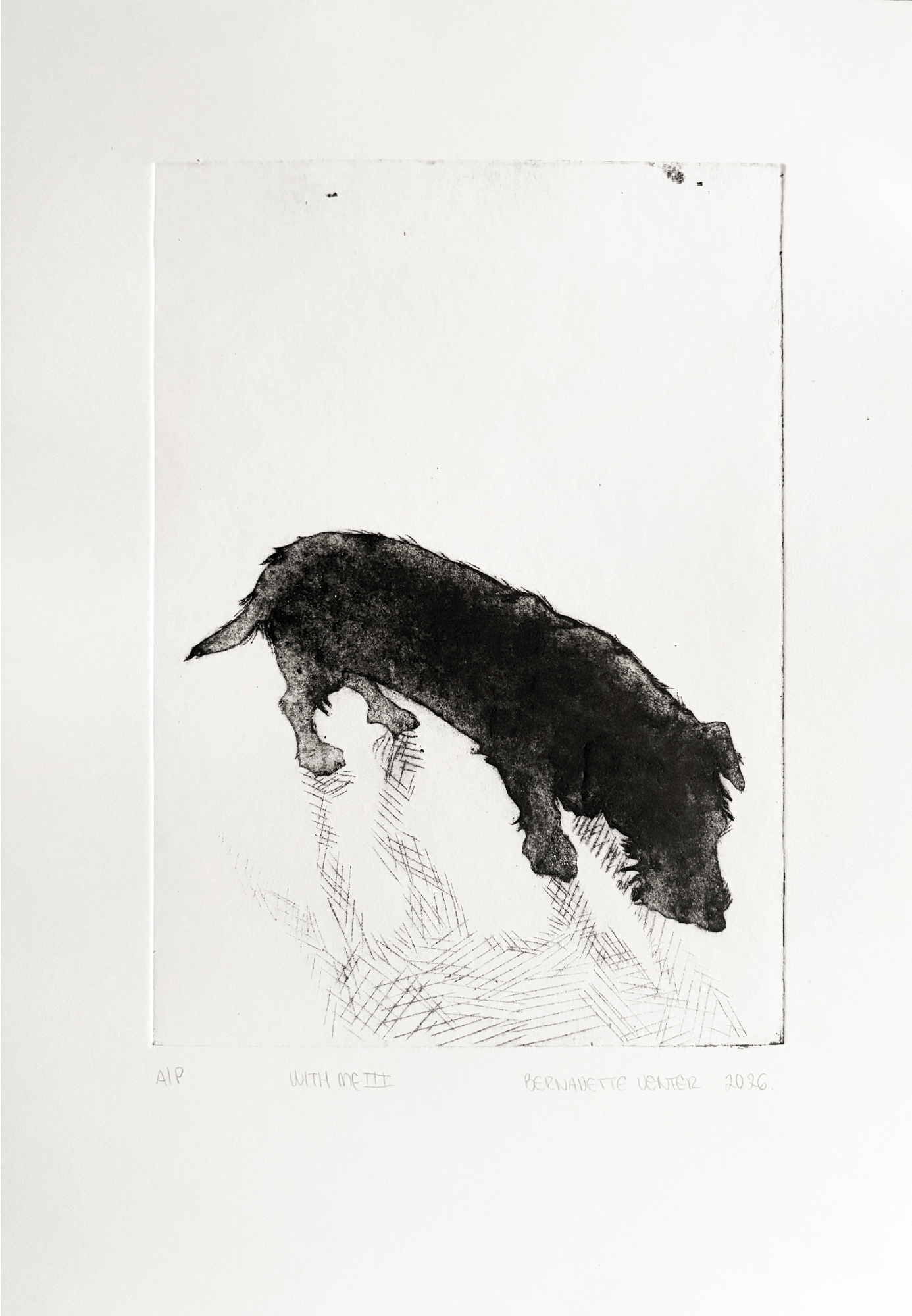 Drypoint print from a cardboard plate depicting a silhouettes from dog walks, rendered to suggest memory and everyday acts of care and connection.